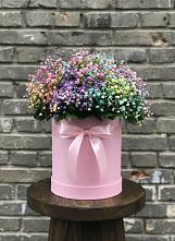 Цветочная композиция из Гипсофила и Розы в шляпной коробке #REPLACE_PRED# Семикаракорске