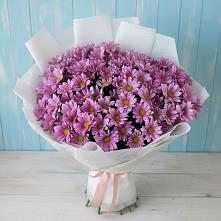 Букет цветов из:  Хризантемы #REPLACE_PRED# Семикаракорске