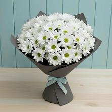 Букет цветов из:  Хризантемы в Семикаракорске