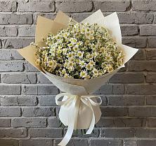 Букет цветов из:  Ромашки #REPLACE_PRED# Семикаракорске