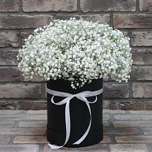 Цветочная композиция из Гипсофила в шляпной коробке #REPLACE_PRED# Семикаракорске
