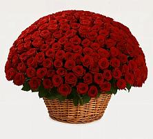 Премиум букет из: Розы #REPLACE_PRED# Семикаракорске